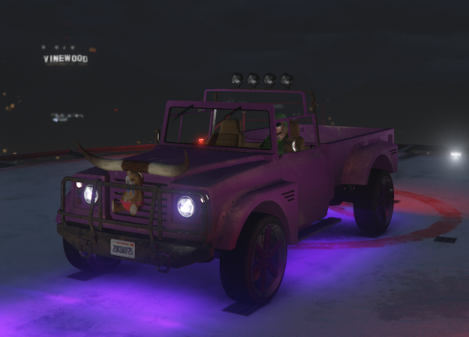 Pickup custom