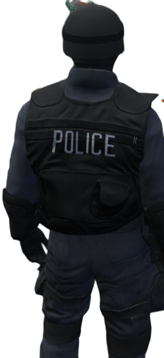 Police Tactique